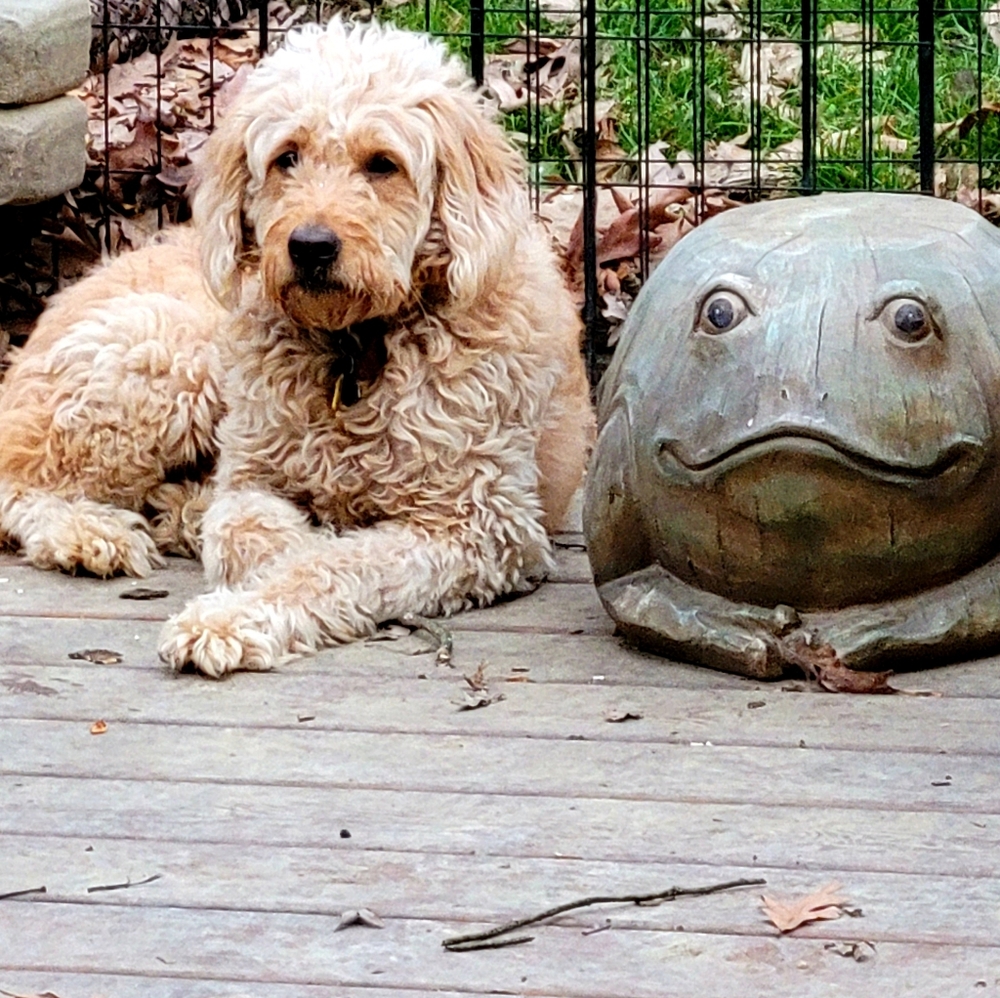 PLEASE LIKE FOR NOTIFICATION..FASHION, BAGS, ETC!  MY FAVORITE THINGS - Picture 8 of 12